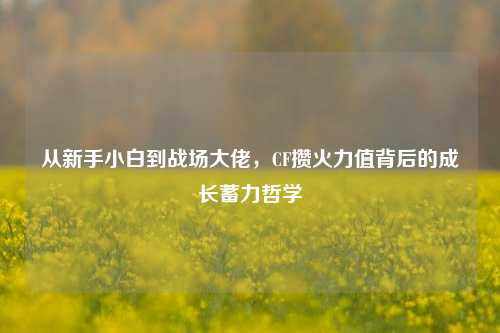 从新手小白到战场大佬，CF攒火力值背后的成长蓄力哲学
