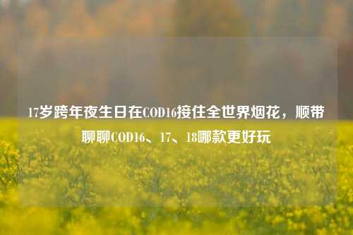 17岁跨年夜生日在COD16接住全世界烟花，顺带聊聊COD16、17、18哪款更好玩