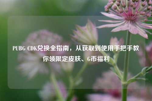 PUBG CDK兑换全指南,从获取到使用手把手教你领限定皮肤、G币福利