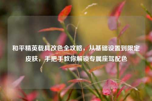 和平精英载具改色全攻略，从基础设置到限定皮肤，手把手教你解锁专属座驾配色