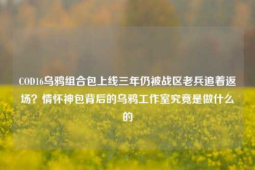 COD16乌鸦组合包上线三年仍被战区老兵追着返场？情怀神包背后的乌鸦工作室究竟是做什么的
