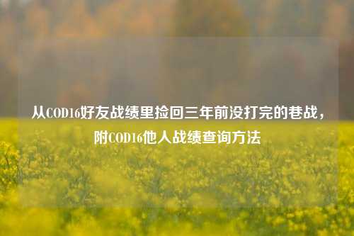 从COD16好友战绩里捡回三年前没打完的巷战，附COD16他人战绩查询方法
