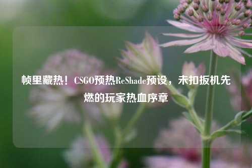 帧里藏热！CSGO预热ReShade预设，未扣扳机先燃的玩家热血序章