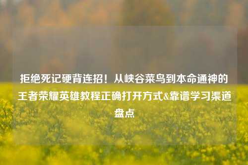 拒绝死记硬背连招！从峡谷菜鸟到本命通神的王者荣耀英雄教程正确打开方式&靠谱学习渠道盘点