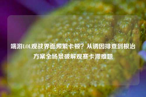 端游LOL观战界面频繁卡顿？从诱因排查到根治方案全场景破解观赛卡滞难题