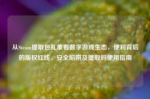 从Steam提取包乱象看数字游戏生态，便利背后的版权红线、安全陷阱及提取码使用指南