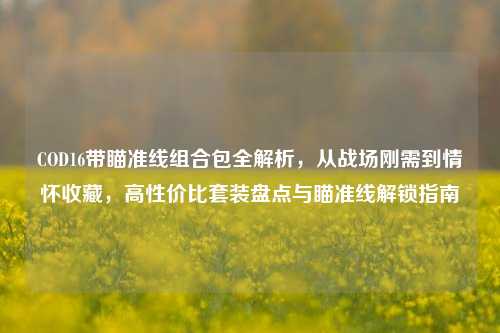 COD16带瞄准线组合包全解析，从战场刚需到情怀收藏，高性价比套装盘点与瞄准线解锁指南
