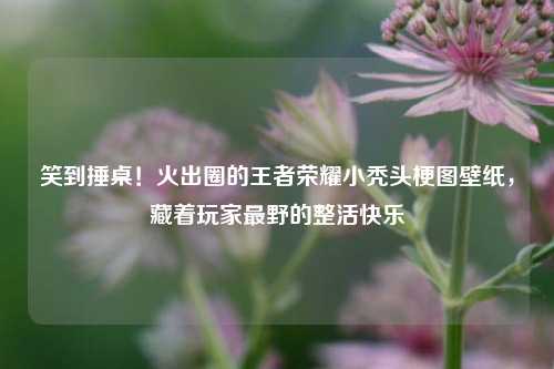 笑到捶桌!火出圈的王者荣耀小秃头梗图壁纸,藏着玩家最野的整活快乐