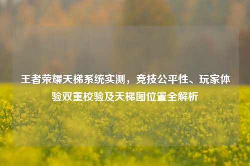 王者荣耀天梯系统实测，竞技公平性、玩家体验双重校验及天梯图位置全解析