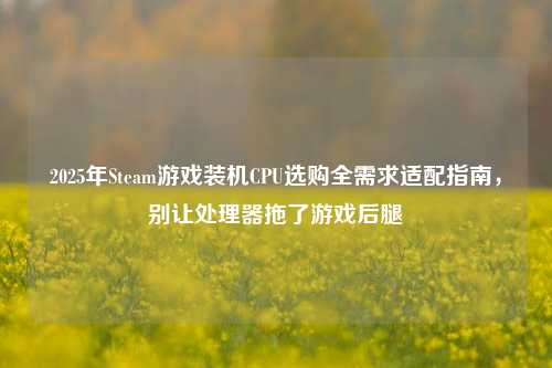 2025年Steam游戏装机CPU选购全需求适配指南，别让处理器拖了游戏后腿