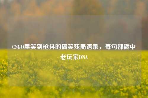 CSGO里笑到枪抖的搞笑残局语录，每句都戳中老玩家DNA