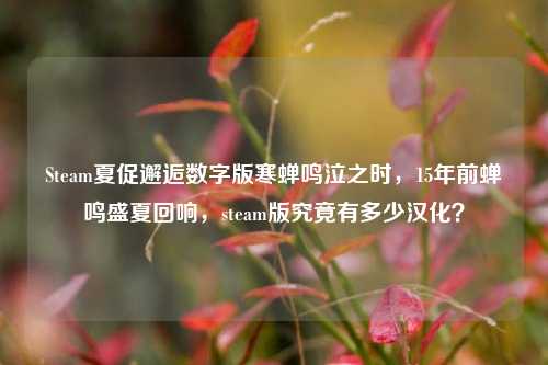 Steam夏促邂逅数字版寒蝉鸣泣之时，15年前蝉鸣盛夏回响，steam版究竟有多少汉化？