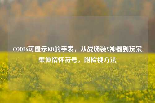 COD16可显示KD的手表，从战场装X神器到玩家集体情怀符号，附检视方法