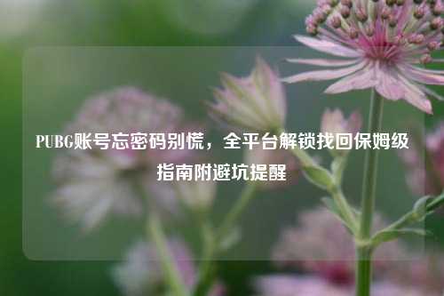 PUBG账号忘密码别慌，全平台解锁找回保姆级指南附避坑提醒