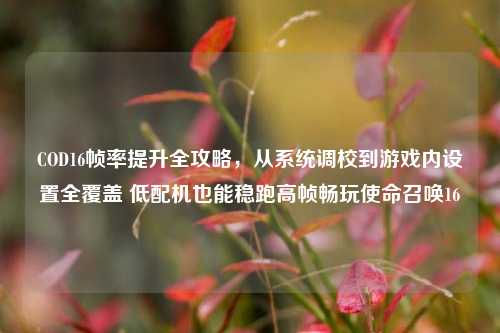 COD16帧率提升全攻略,从系统调校到游戏内设置全覆盖 低配机也能稳跑高帧畅玩使命召唤16