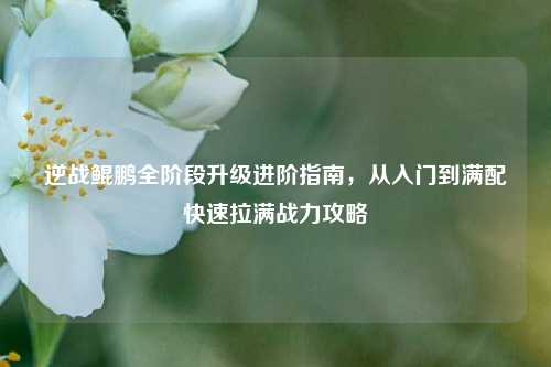 逆战鲲鹏全阶段升级进阶指南,从入门到满配快速拉满战力攻略