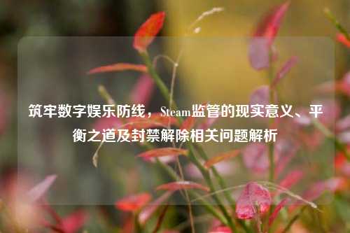 筑牢数字娱乐防线，Steam监管的现实意义、平衡之道及封禁解除相关问题解析