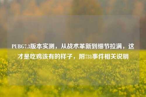 PUBG7.3版本实测，从战术革新到细节拉满，这才是吃鸡该有的样子，附731事件相关说明