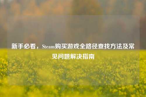新手必看，Steam购买游戏全路径查找方法及常见问题解决指南