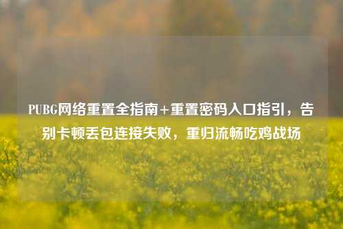 PUBG网络重置全指南+重置密码入口指引，告别卡顿丢包连接失败，重归流畅吃鸡战场