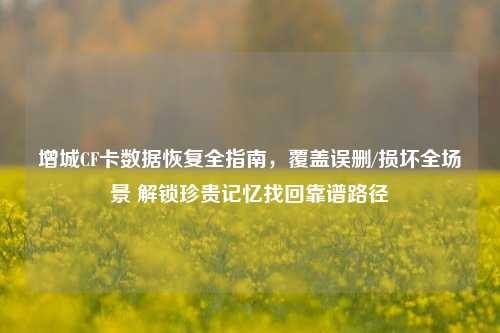增城CF卡数据恢复全指南，覆盖误删/损坏全场景 解锁珍贵记忆找回靠谱路径
