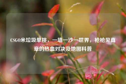 CSGO米垃圾单挑，一墙一沙一世界，枪枪见真章的热血对决及地图科普