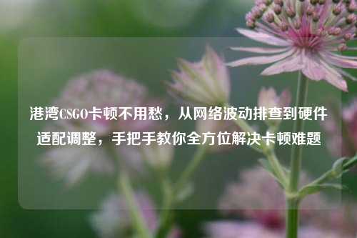 港湾CSGO卡顿不用愁，从网络波动排查到硬件适配调整，手把手教你全方位解决卡顿难题