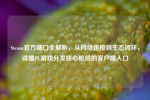 Steam官方端口全解析，从网络连接到生态闭环，读懂PC游戏分发核心枢纽的客户端入口