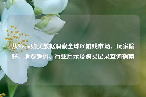 从Steam购买数据洞察全球PC游戏市场，玩家偏好、消费趋势、行业启示及购买记录查询指南