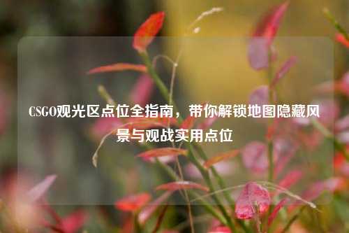 CSGO观光区点位全指南，带你解锁地图隐藏风景与观战实用点位