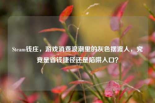 Steam钱庄，游戏消费浪潮里的灰色摆渡人，究竟是省钱捷径还是陷阱入口？