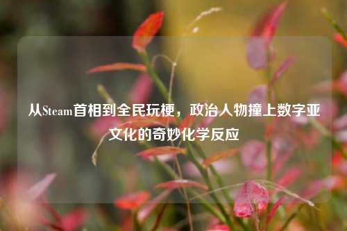 从Steam首相到全民玩梗，政治人物撞上数字亚文化的奇妙化学反应