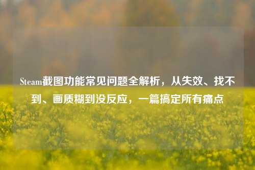 Steam截图功能常见问题全解析，从失效、找不到、画质糊到没反应，一篇搞定所有痛点