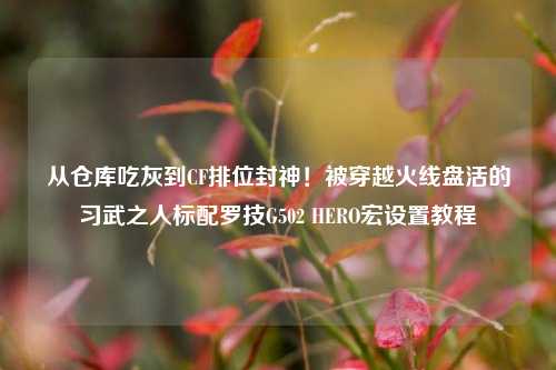 从仓库吃灰到CF排位封神！被穿越火线盘活的习武之人标配罗技G502 HERO宏设置教程