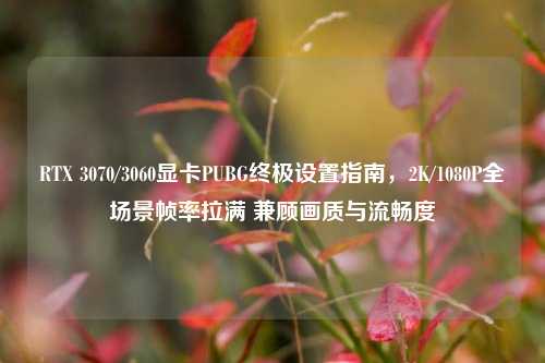 RTX 3070/3060显卡PUBG终极设置指南，2K/1080P全场景帧率拉满 兼顾画质与流畅度