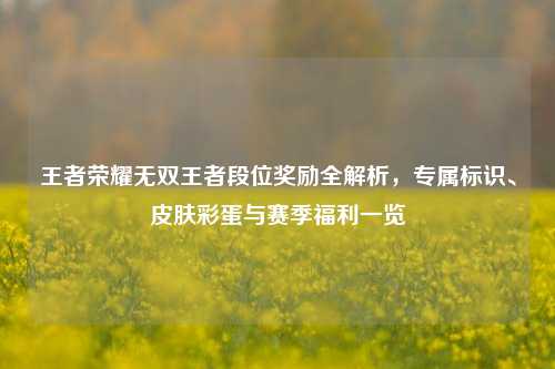 王者荣耀无双王者段位奖励全解析，专属标识、皮肤彩蛋与赛季福利一览