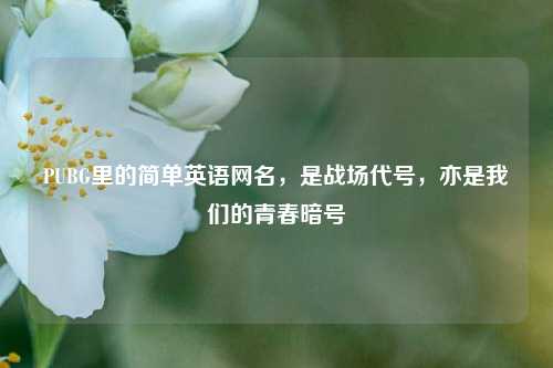 PUBG里的简单英语网名，是战场代号，亦是我们的青春暗号
