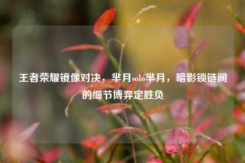 王者荣耀镜像对决，芈月solo芈月，暗影锁链间的细节博弈定胜负
