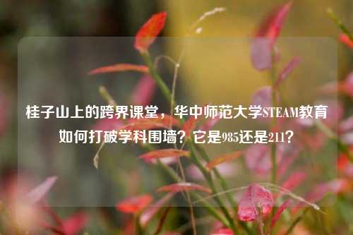 桂子山上的跨界课堂，华中师范大学STEAM教育如何打破学科围墙？它是985还是211？