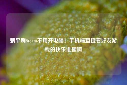 躺平刷Steam不用开电脑！手机端直接看好友游戏的快乐谁懂啊