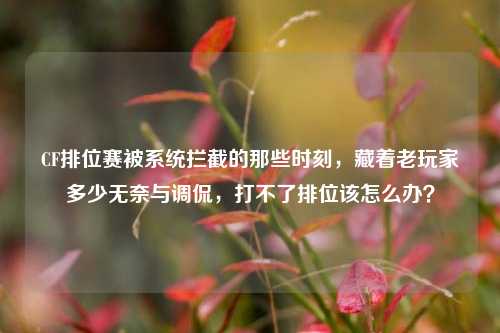 CF排位赛被系统拦截的那些时刻，藏着老玩家多少无奈与调侃，打不了排位该怎么办？