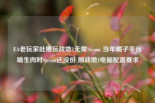 EA老玩家吐槽玩战地1无需Steam 当年橘子平台啃生肉时Steam还没份 附战地1电脑配置要求