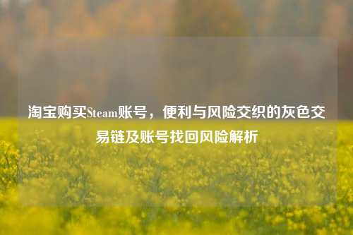 淘宝购买Steam账号，便利与风险交织的灰色交易链及账号找回风险解析