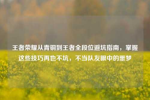 王者荣耀从青铜到王者全段位避坑指南，掌握这些技巧再也不坑，不当队友眼中的噩梦