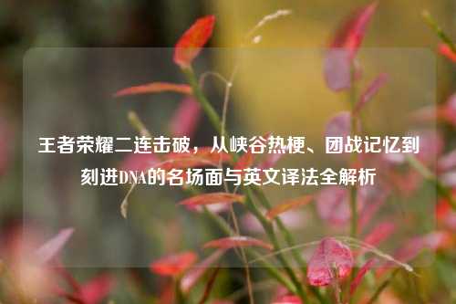 王者荣耀二连击破，从峡谷热梗、团战记忆到刻进DNA的名场面与英文译法全解析