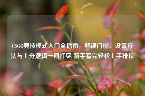 CSGO竞技模式入门全指南，解锁门槛、设置方法与上分逻辑一网打尽 新手看完轻松上手排位