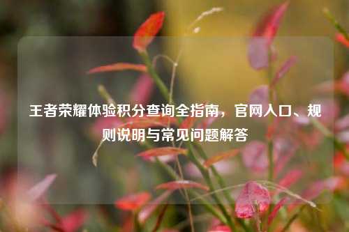 王者荣耀体验积分查询全指南，官网入口、规则说明与常见问题解答