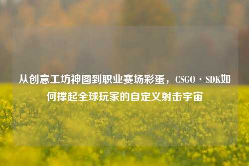 从创意工坊神图到职业赛场彩蛋，CSGO·SDK如何撑起全球玩家的自定义射击宇宙