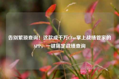 告别繁琐查询!这款成千万CFer掌上战绩管家的APP,一键搞定战绩查询