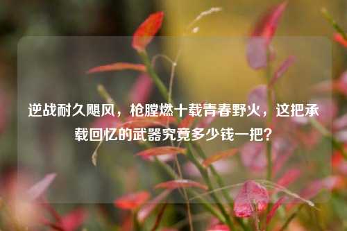 逆战耐久飓风，枪膛燃十载青春野火，这把承载回忆的武器究竟多少钱一把？